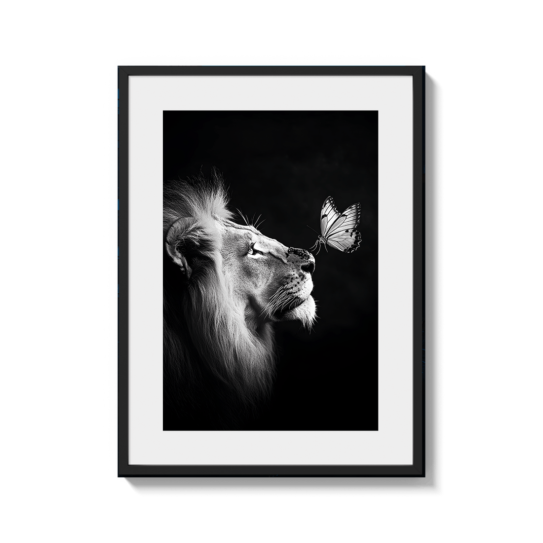 Fragile King - MAVENI