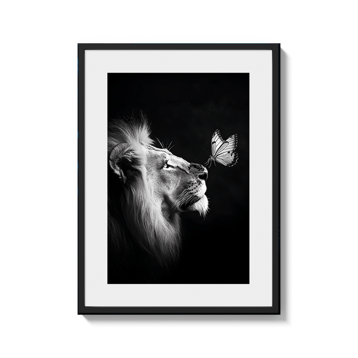 Fragile King - MAVENI